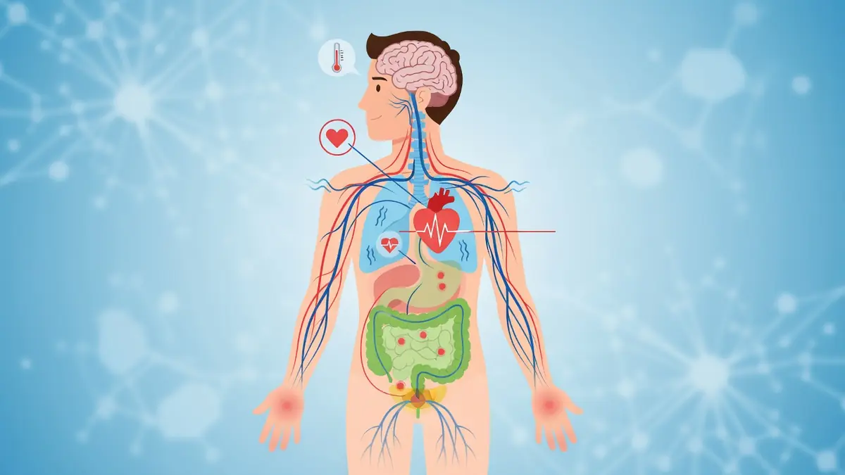 L&rsquo;énigme du système neurovégétatif : comment décoder et vivre avec un trouble dysautonomique