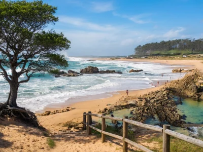Vue panoramique sur la plage de la Paracou avec son arbre solitaire et ses rochers bordant l'océan