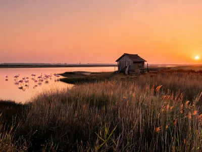 Vue sur la pointe du Salaison au coucher du soleil avec flamants roses et cabane en bois