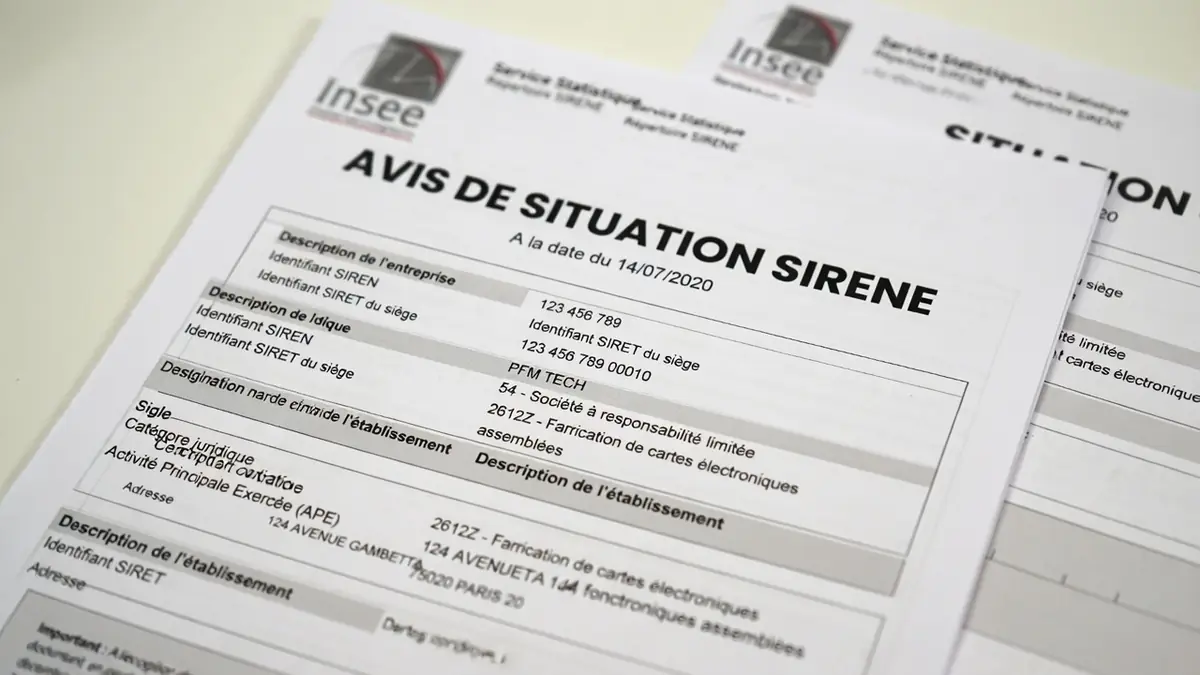 Le répertoire Sirene : avis de situation, utilité et démarches pour les entrepreneurs