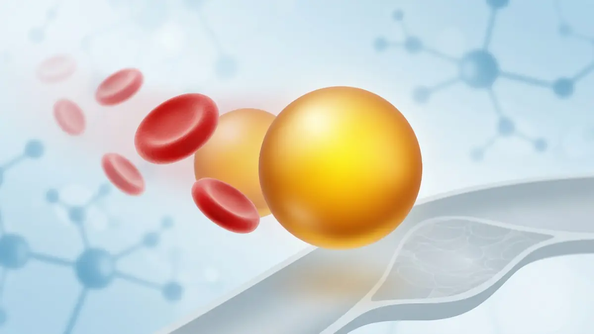 Des globules rouges accompagnent le cholestérol non hdl dans un vaisseau sanguin
