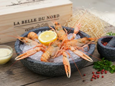 Langoustines présentées sur glace avec citron et aromates après la cuisson des langoustines
