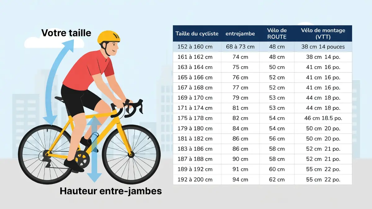 Trouver la bonne taille pour les vélos : guide complet d&rsquo;ergonomie et de performance