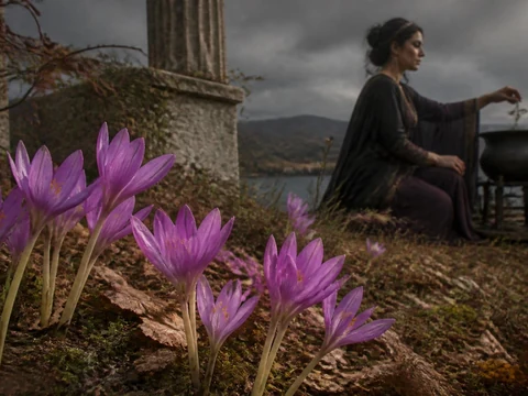 Une femme mystérieuse prépare une potion près de fleurs de colchique d'automne 8 lettres dans un paysage sombre
